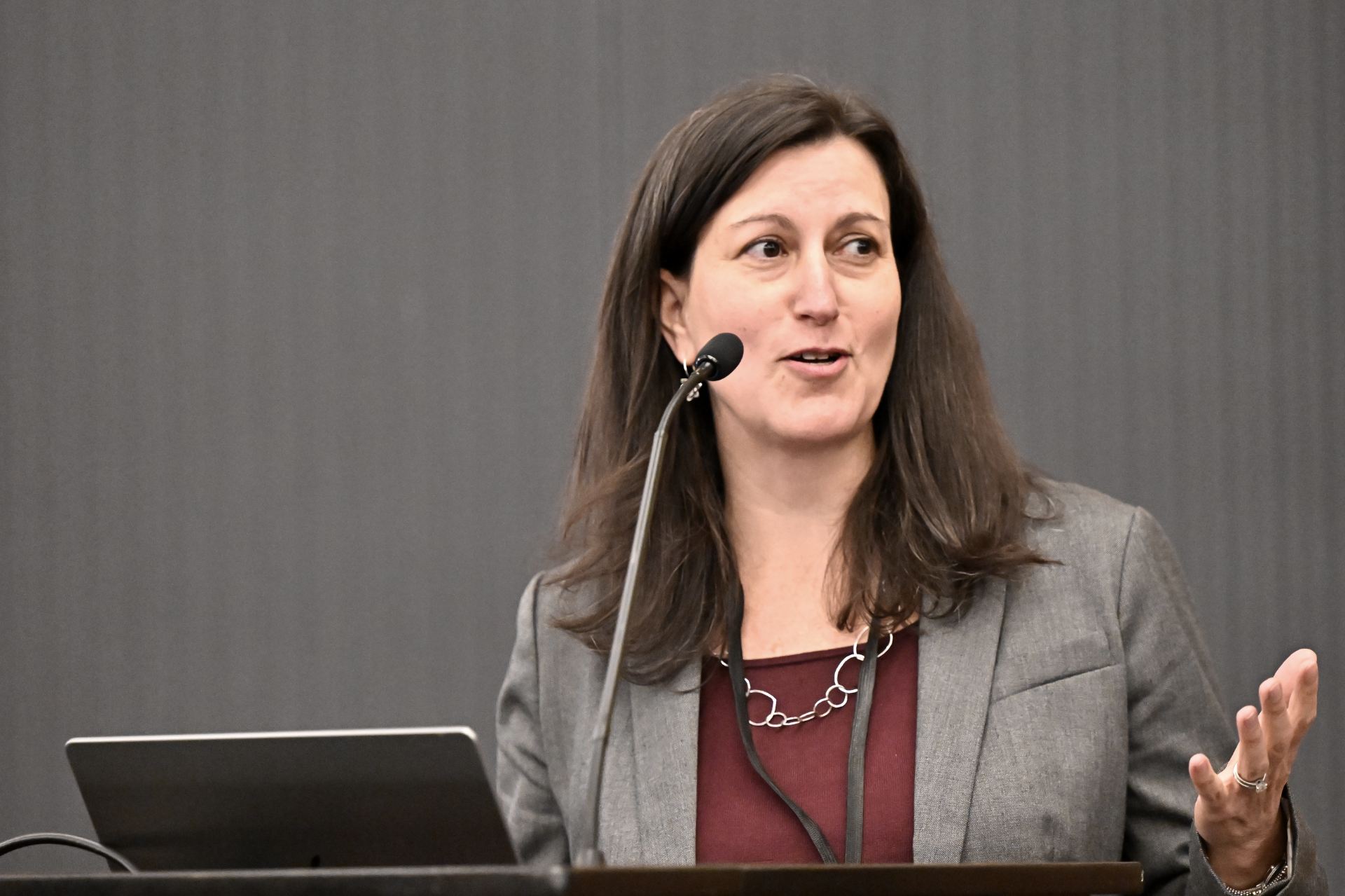 Principal investigator Rachel Davidson presents to an audience of nearly 200 researchers and industry practitioners during the meeting’s plenary session on February 1, 2024.